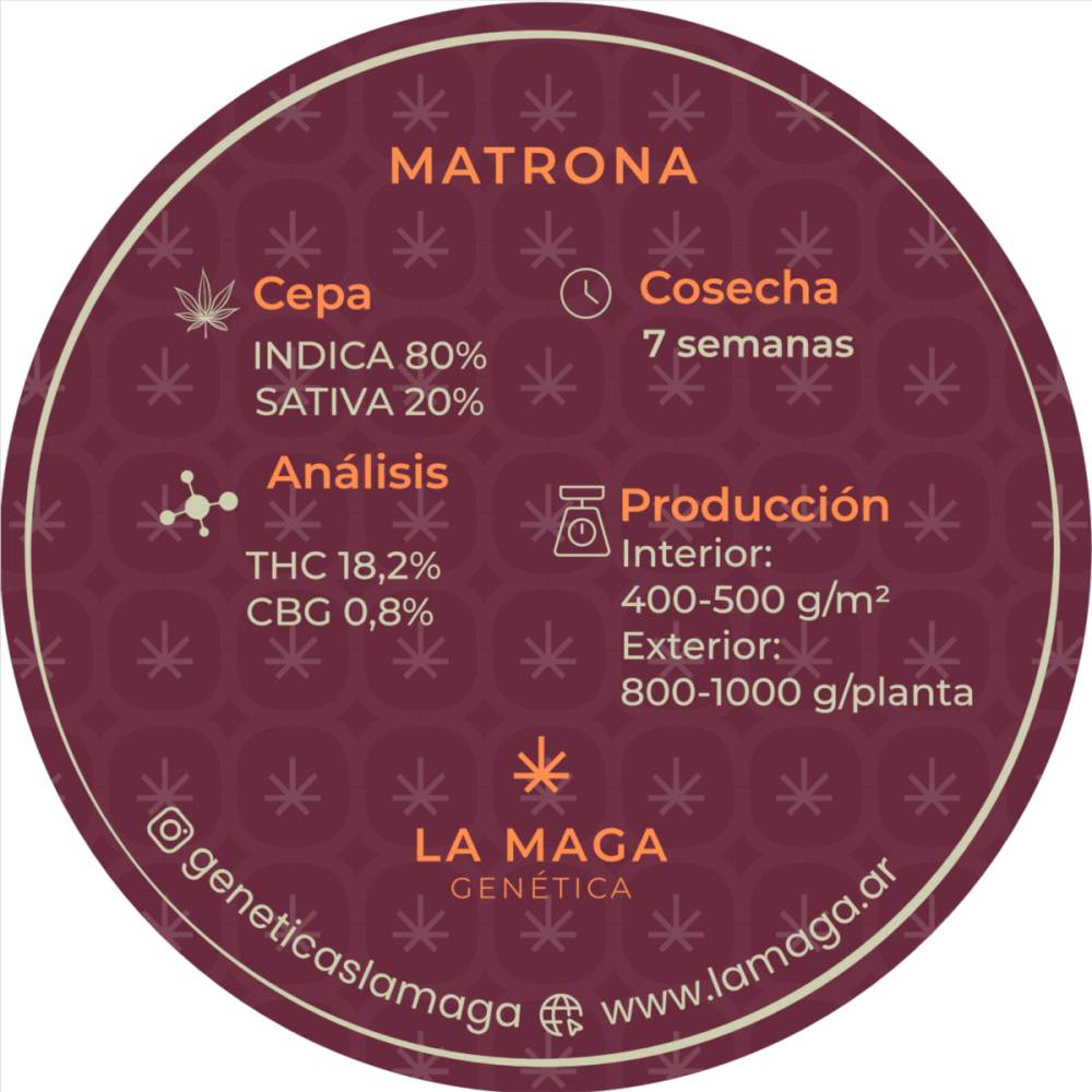 matron_65df5dc981dfc